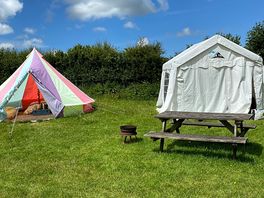 Our pitch