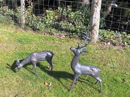 Statues
