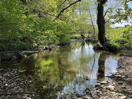 River next to camping pitches