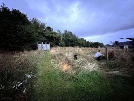 Camp