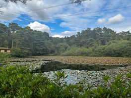Another lake