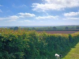 Stunning views