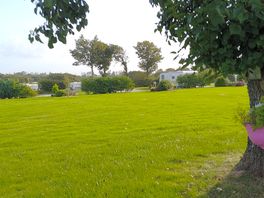 Field between main block and facilities block.