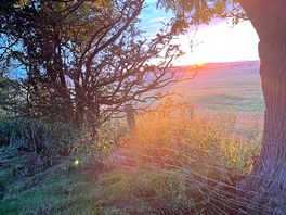 The views of the field behind