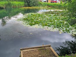 Am see