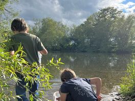 Finding tadpoles