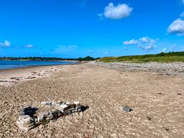 Doggie beach about a 20 min walk. beautiful