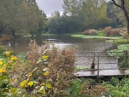 Lovely pond