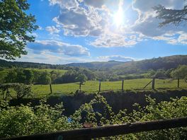 Afternoon view