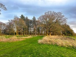 Grass pitches for tents
