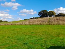 Views from the site
