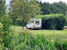 Our pitch between hedge and tree