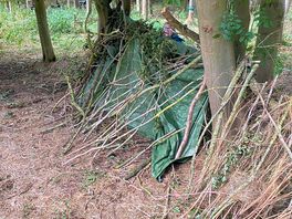 Den building