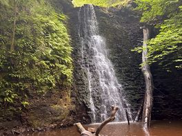 Falling foss waterfall