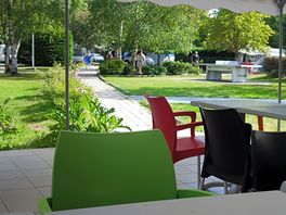 Beautiful garden