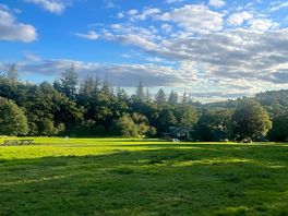 Views