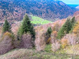 Surrounding area