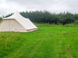 Separate pitch area
