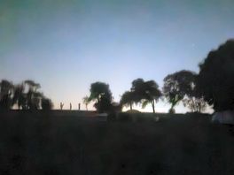 At the field camping