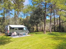 Spacious grass pitches