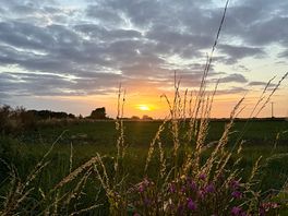The sunset