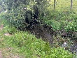 Lovely little stream