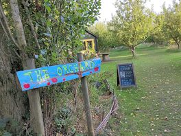 The orchard.