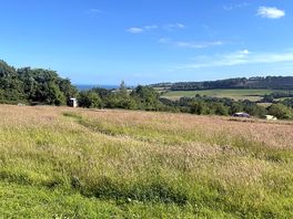 The view from our tent in the morning.