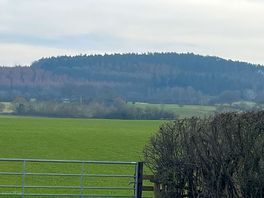 The view from our pitch