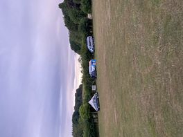 Welsh field