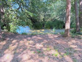 View of the lake in front of our plot