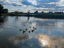 Fishing pond