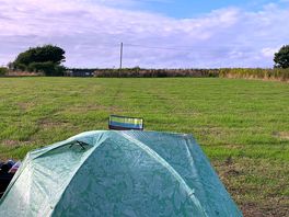Lovely flat paddock