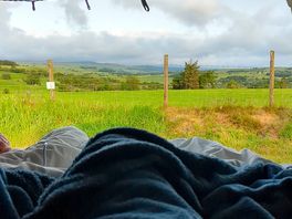 Morning view