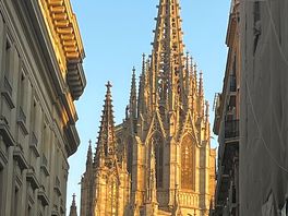 Cattedrale di san rocco