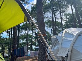 Campsite