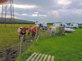 Campsite