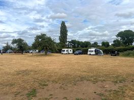 Grass pitches