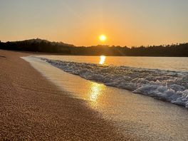Early morning swim