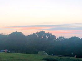 Sunset over the trees