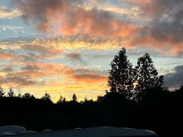 The view