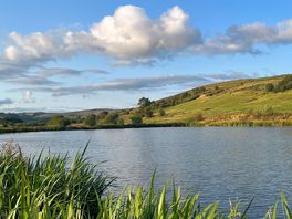 Carp lake
