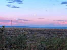 Dusk view