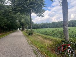 Local roads