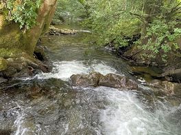 Stream right on site