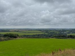 Panoramic views
