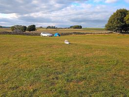 Campsite