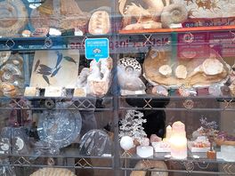 Local fossils!