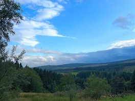 View on the walk