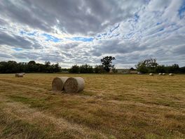 Eco field